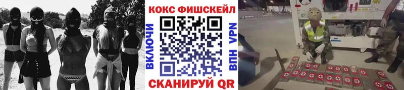 Купить где  Вятские Поляны  COCAIN Columbia 