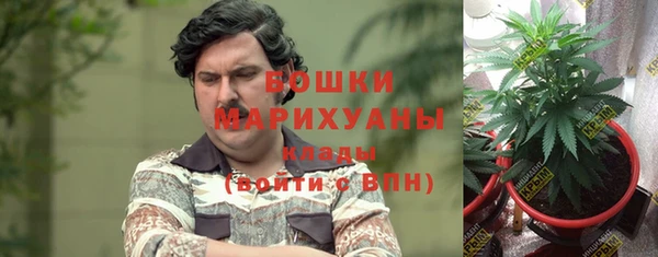 apvp Инта