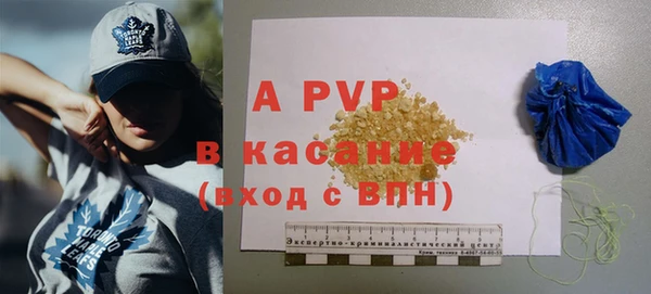 apvp Инта