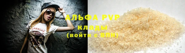 apvp Инта