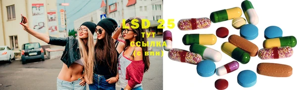 apvp Инта