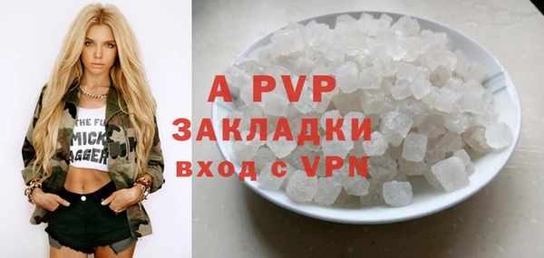 apvp Инта