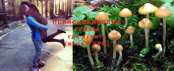 спайс Инсар