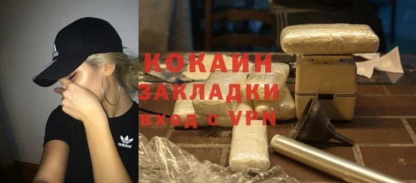 apvp Инта