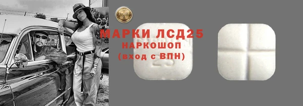 apvp Инта