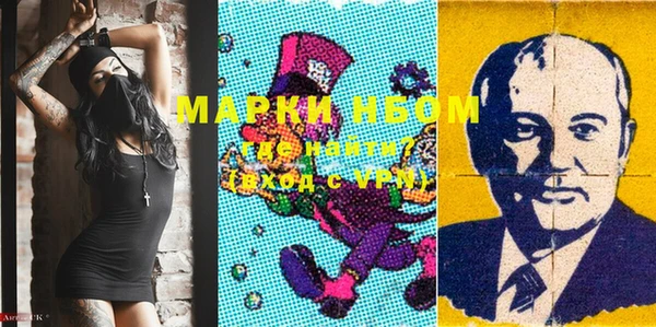 apvp Инта