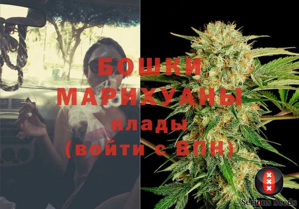 apvp Инта