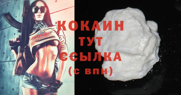 apvp Инта